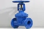 Van cổng ty nổi DN100